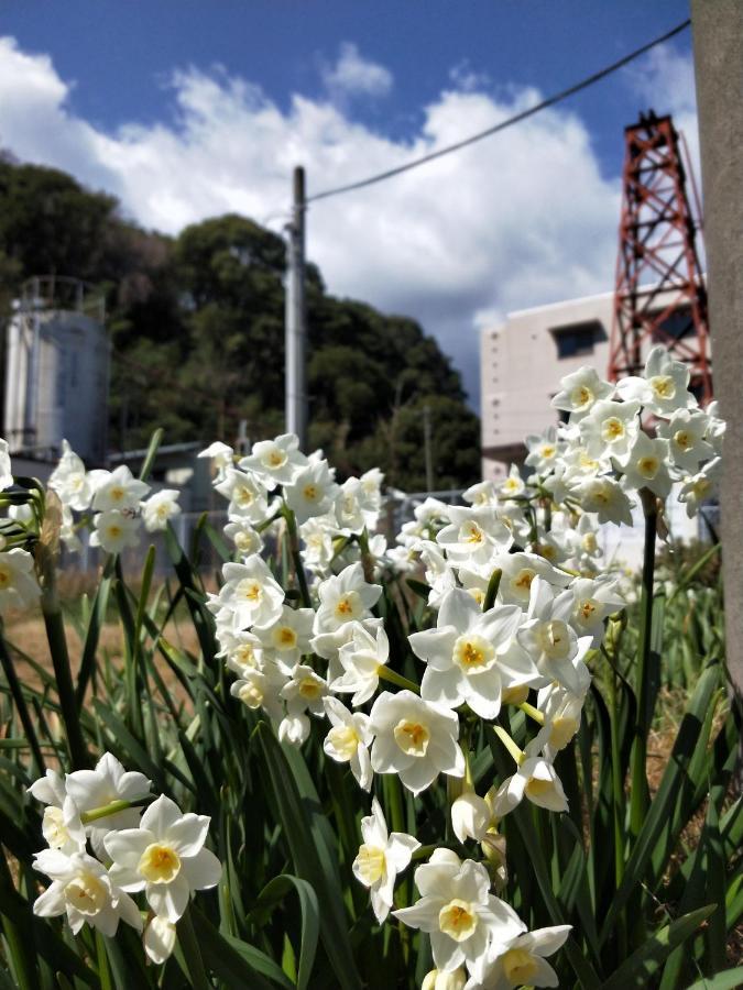 Izu Shirada Villa 伊豆白田家 Higashiizu Eksteriør billede