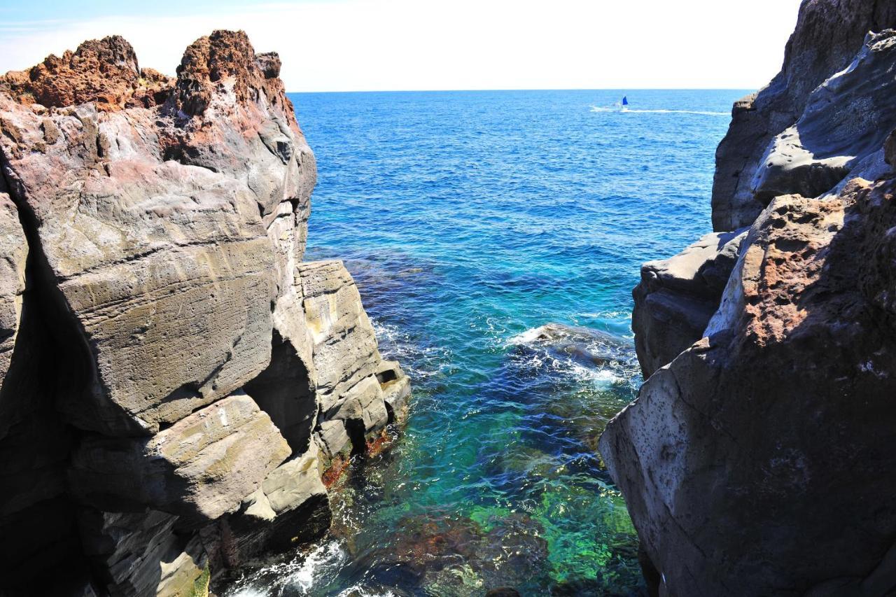 Izu Shirada Villa 伊豆白田家 Higashiizu Eksteriør billede